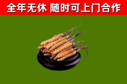 喀喇沁烟酒回收冬虫夏草.jpg