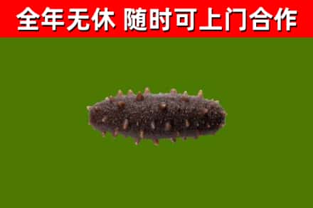 喀喇沁烟酒回收干海参.jpg